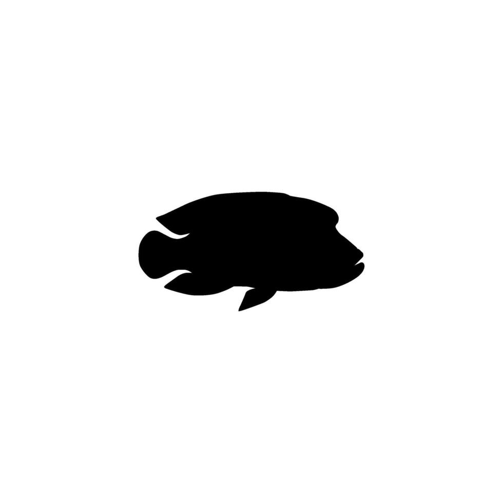 Silhouette of the The Humphead wrasse, Cheilinus undulatus, also known as the Maori wrasse, Napoleon wrasse, Napoleon fish. Flat Style, can use for Logo Gram, Animal Illustration, Pictogram, ect vector