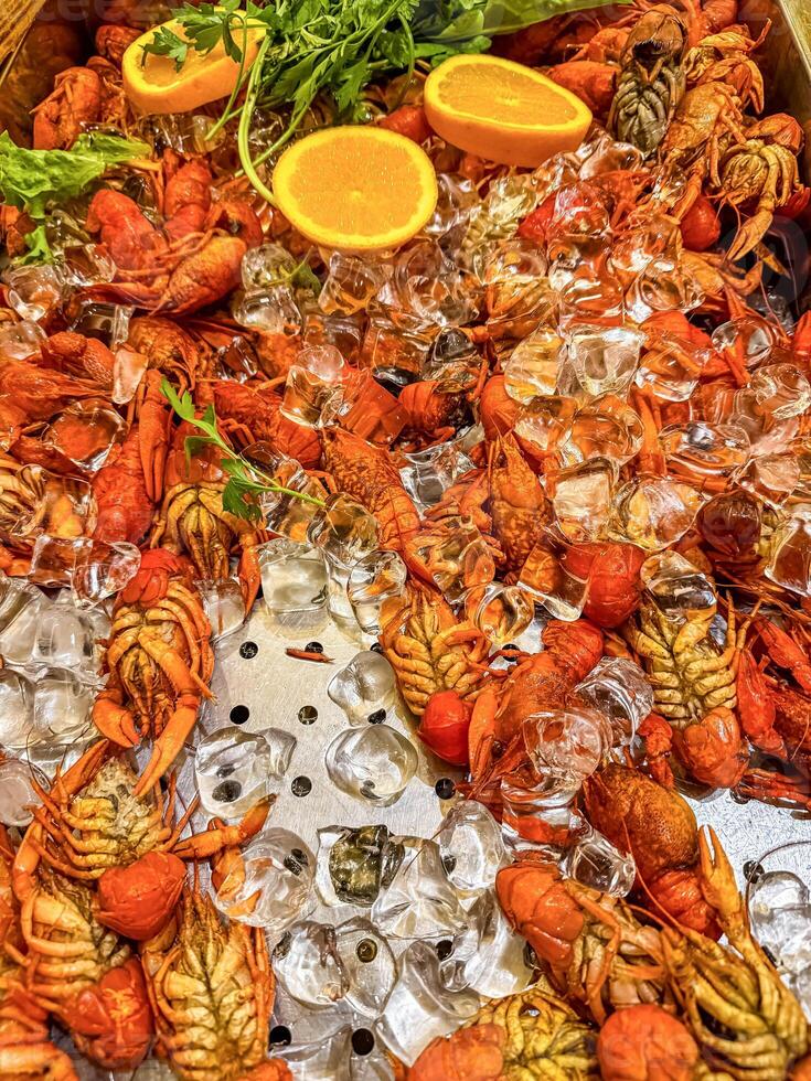 Crayfish. Red boiled crawfishes on table with ice in rustic style, closeup. High quality photo