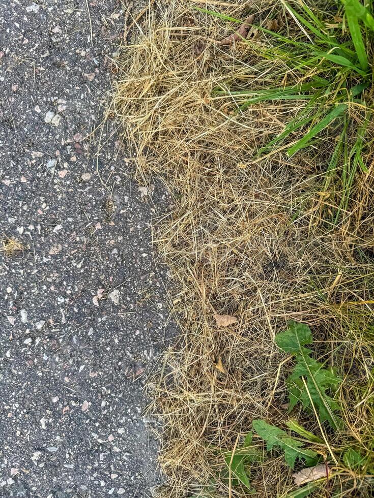 Close-up of the transition between a paved road and dry yellow grass . High quality photo