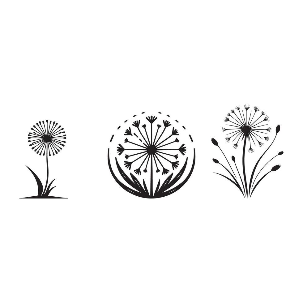 minimalist dandelion silhouette on white background. Flower shop icon. vector