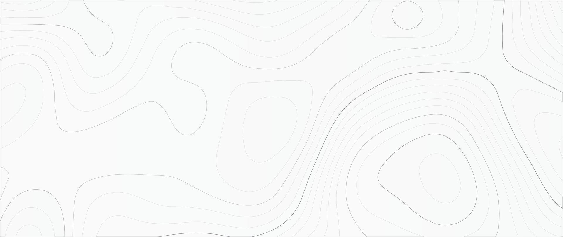 Topographic line contour map vector