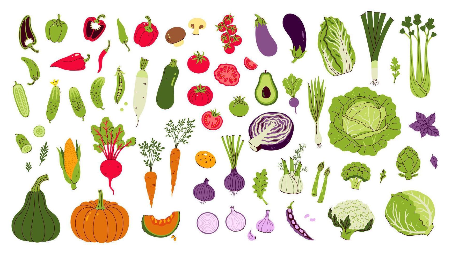 Large set of different vegetables isolate on white background. graphics. vector