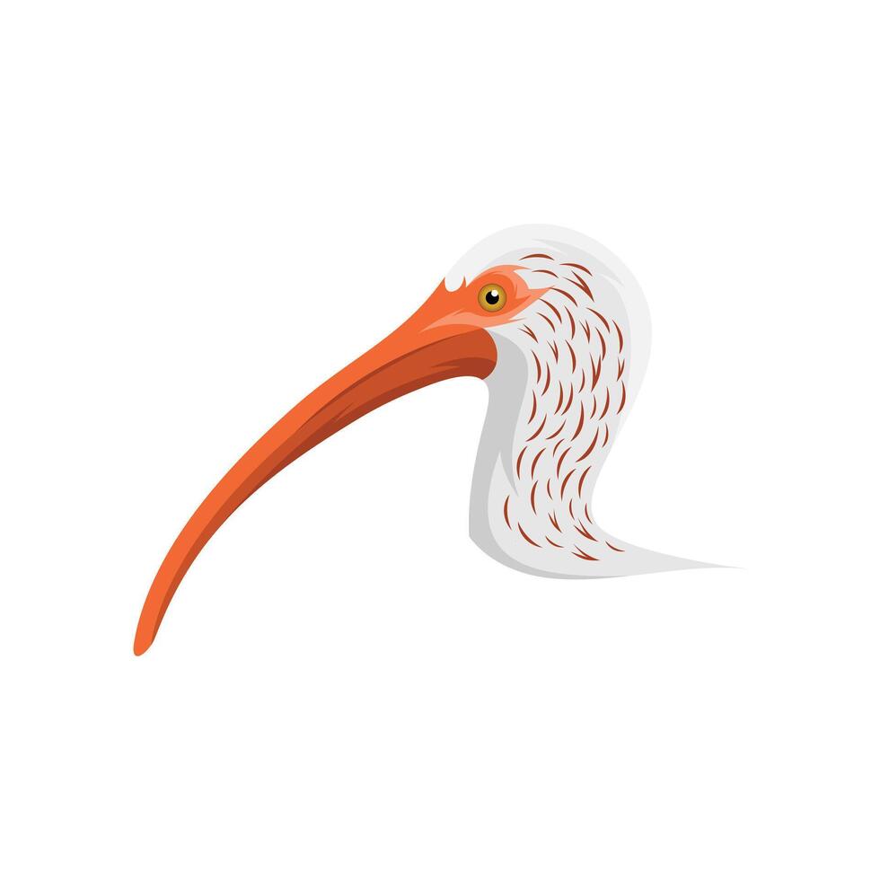 of white ibis logo vector