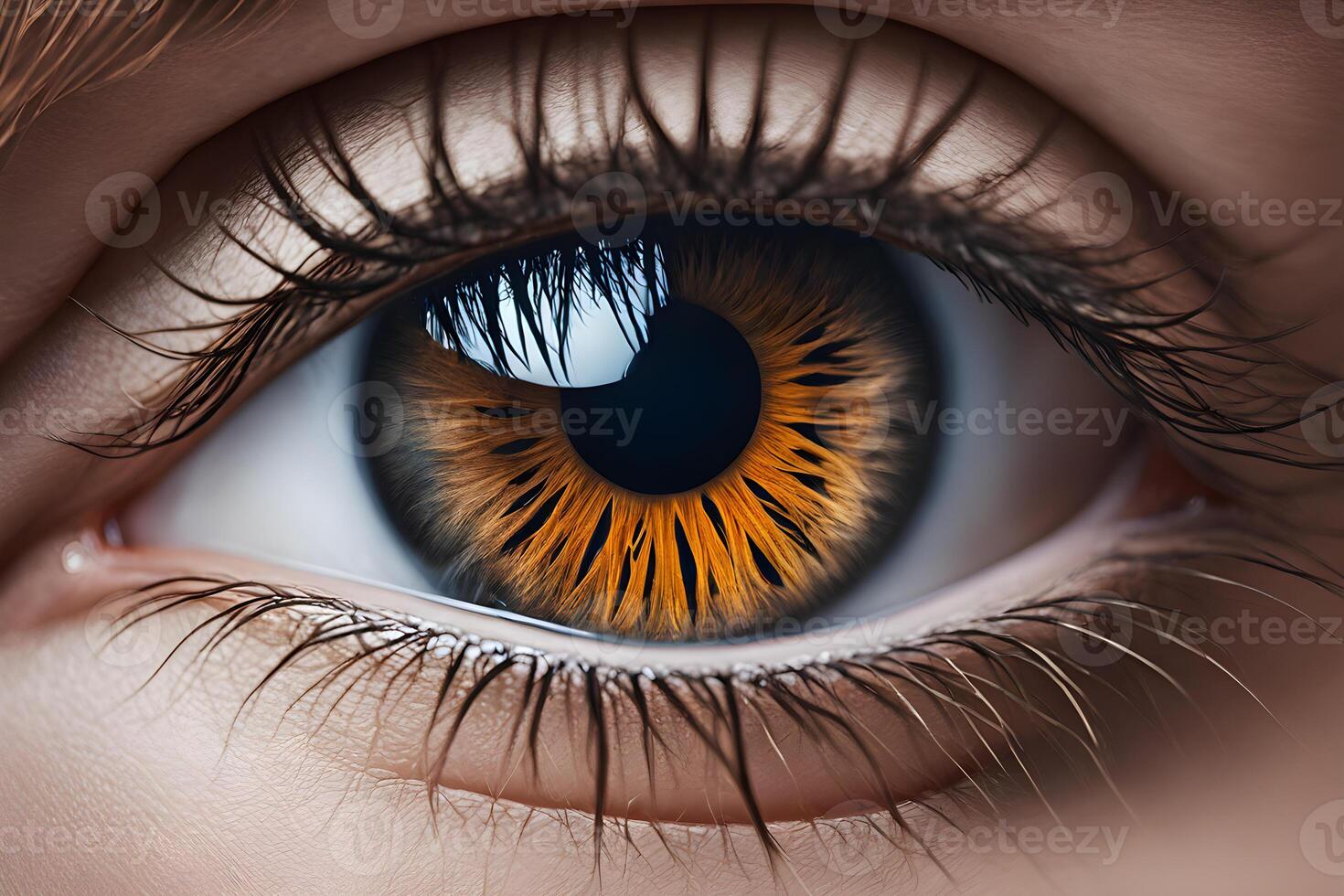 human brown eye macro photography close up photo