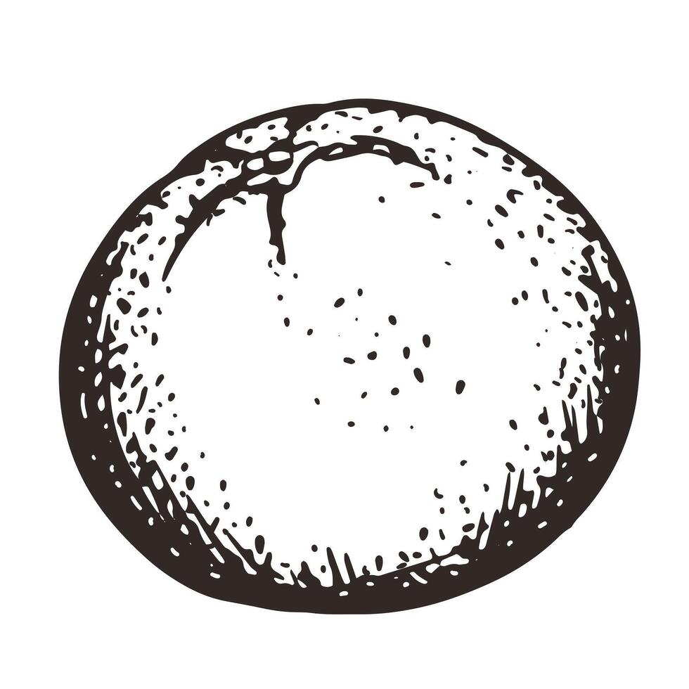 hand drawn orange. Monochrome sketches of citrus fruits. Engraving style drawings. Linear ink sketch of whole fruit. vector
