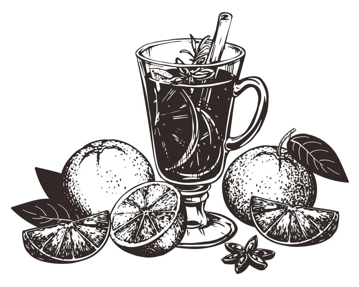 Mulled wine with cinnamon stick, star anise. Glass with warm wine and oranges. Hand drawn illustration. Engraved style of winter alcoholic warming drink with spices. Drawing for menu. vector
