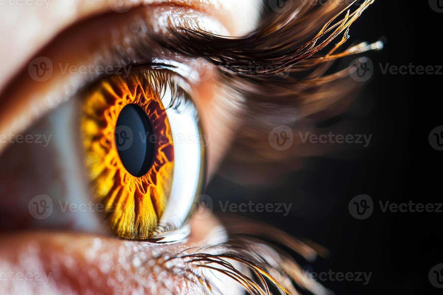 Close-up of an eye with intricate details in the iris and eyelashes. photo