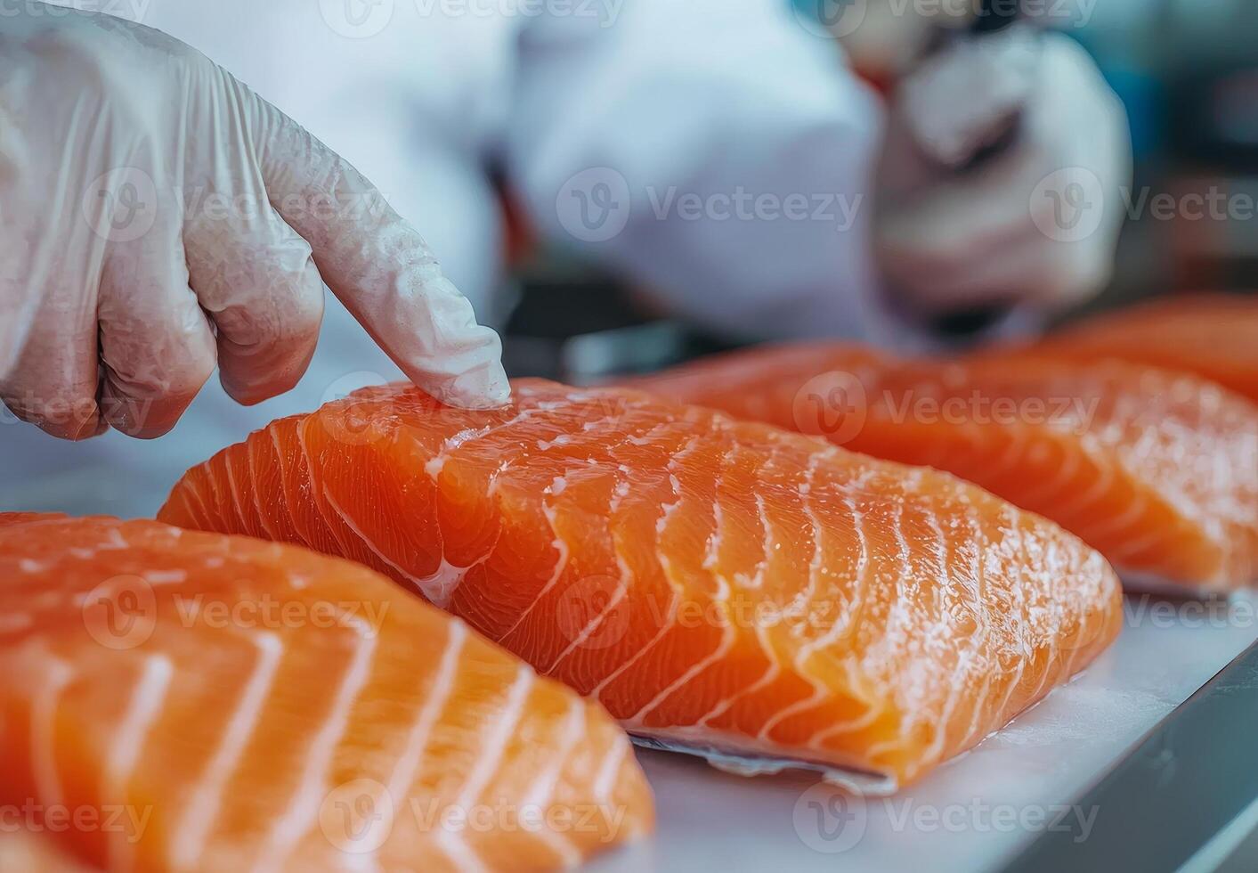 Fresh salmon fillets being prepared in a professional kitchen. photo