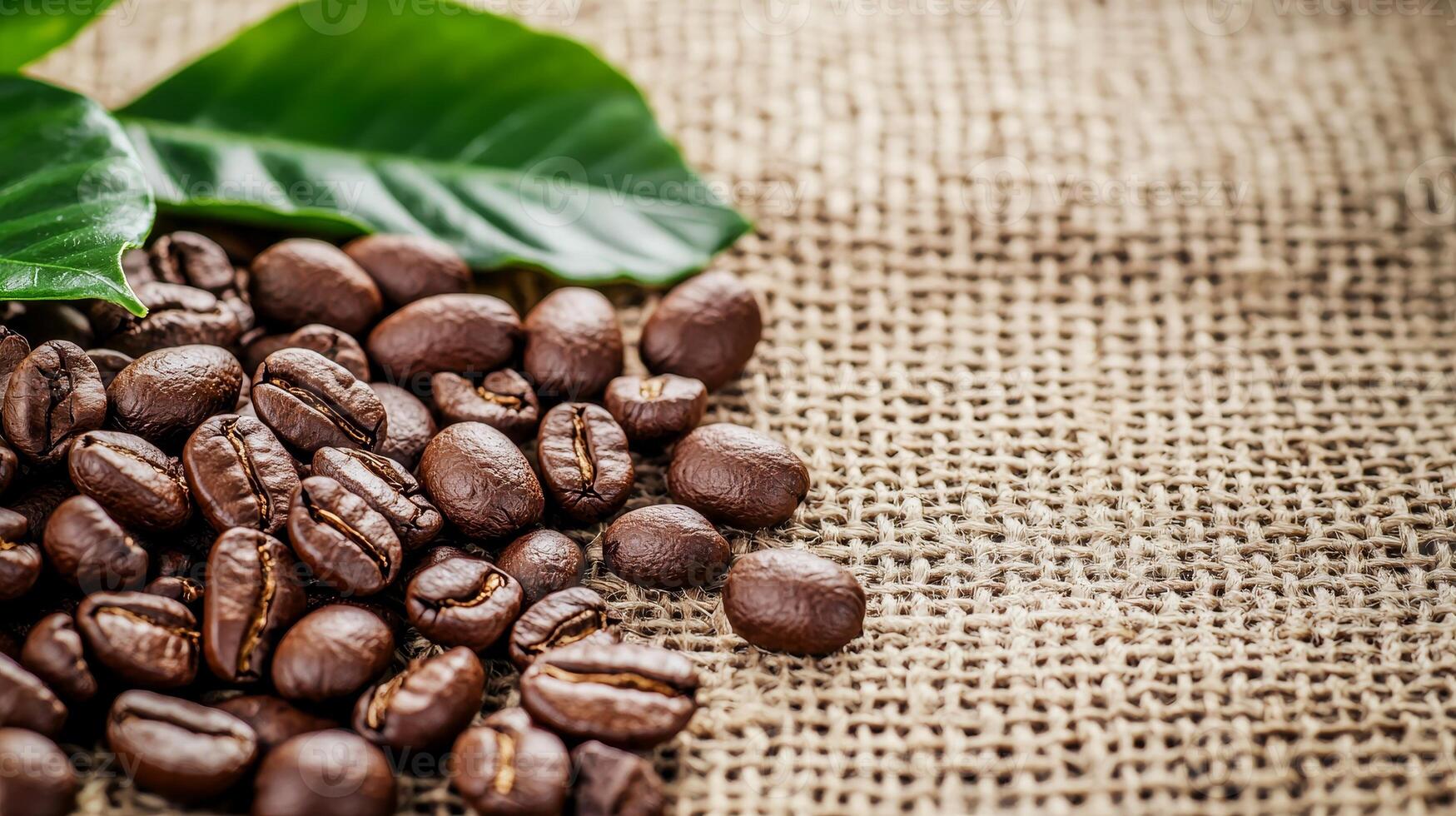 Fresh coffee beans with green leaves on burlap background. photo