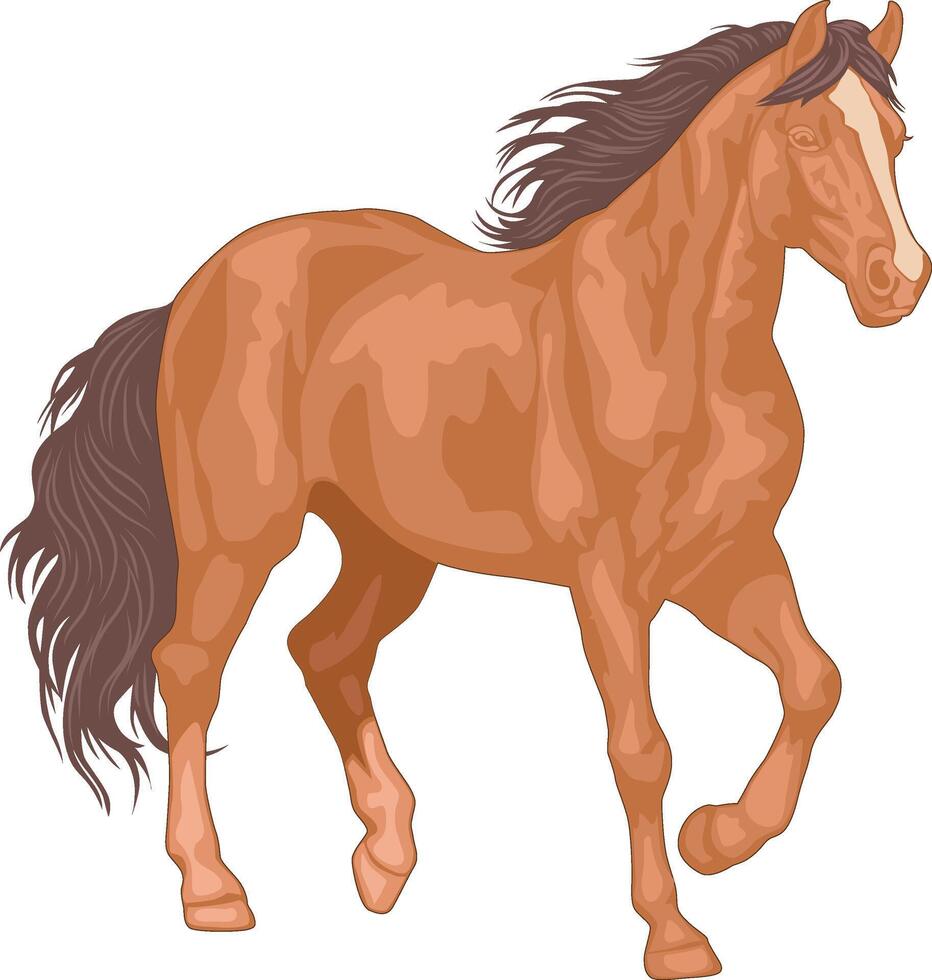 Brown horse illustration. isolated on white for background design. vector