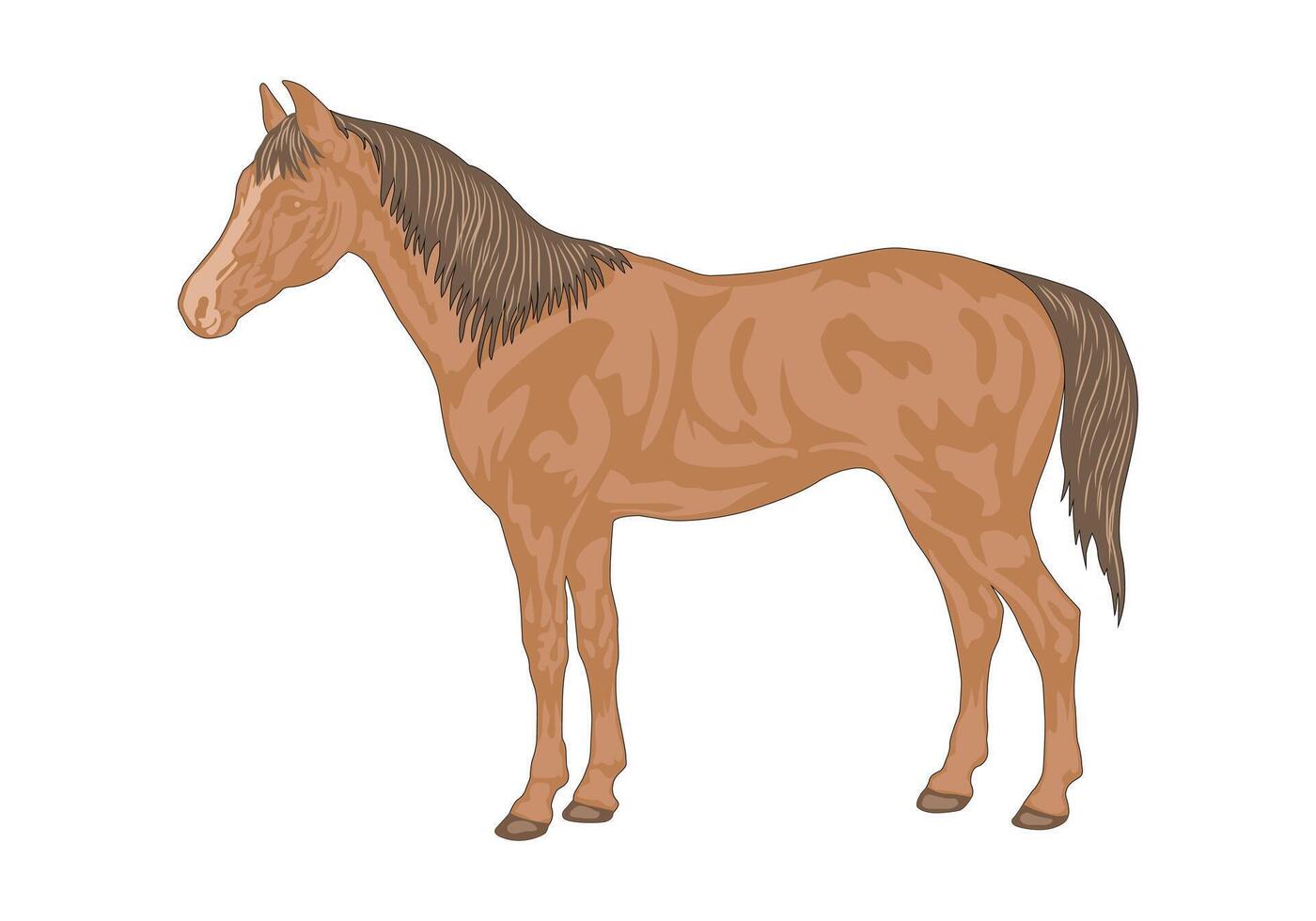 Brown horse standing, isolated on white background, illustration style. vector