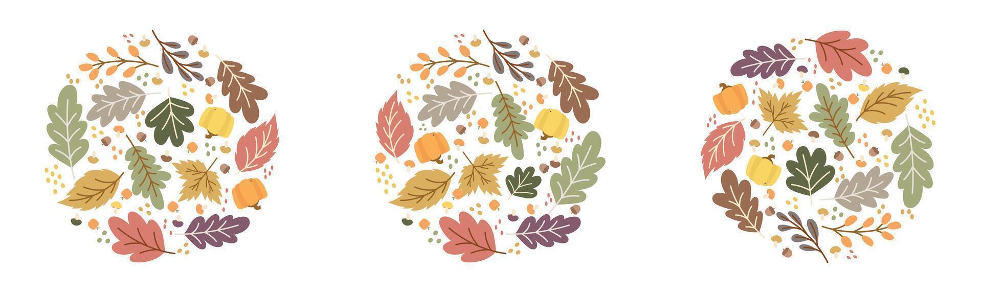 circle shape dried leave pattern decoration set vector