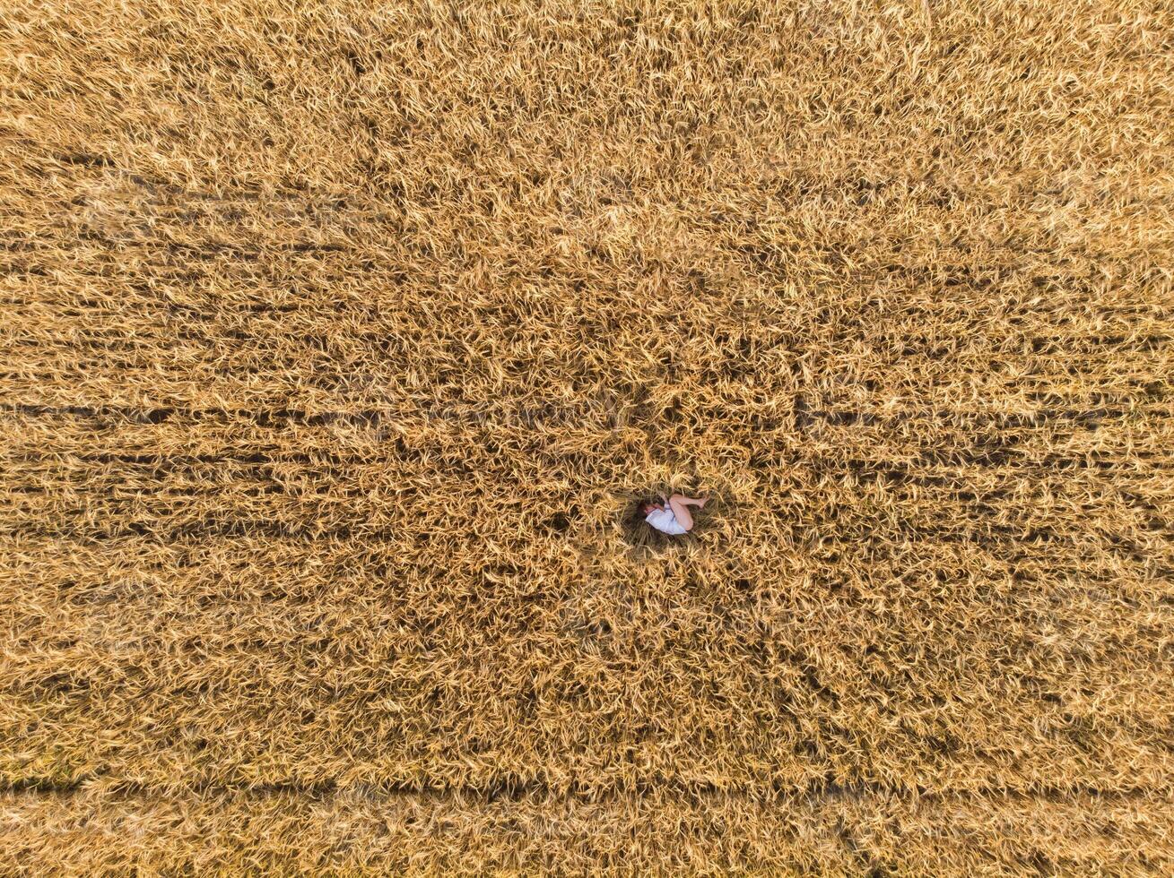 Aerial view of woman lying in the field of wheat photo