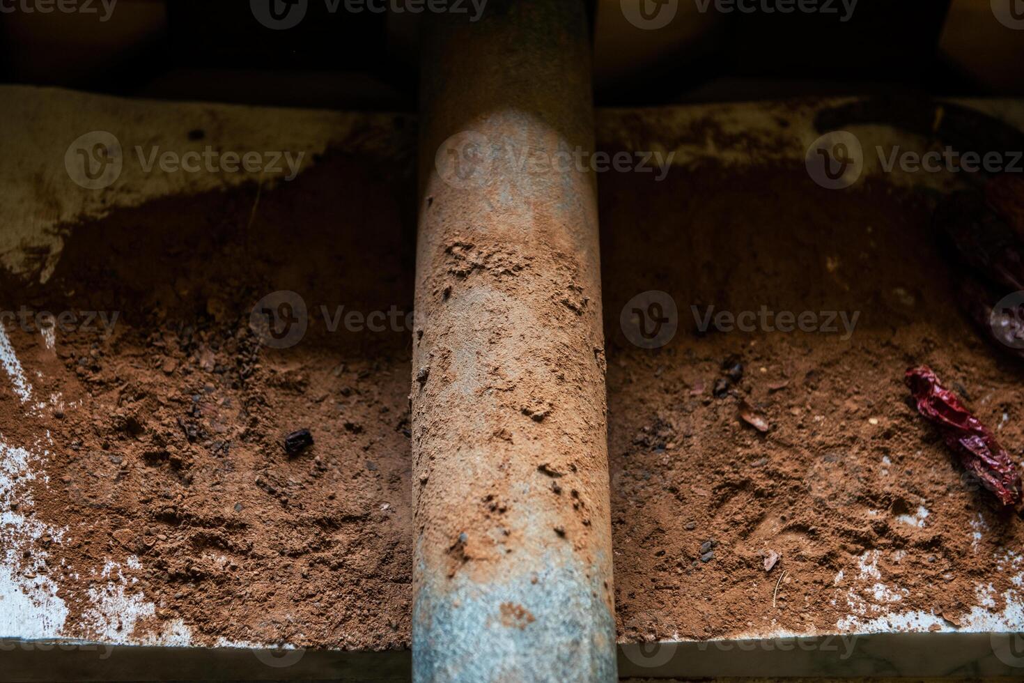 Grinding cacao beans with chili peppers photo