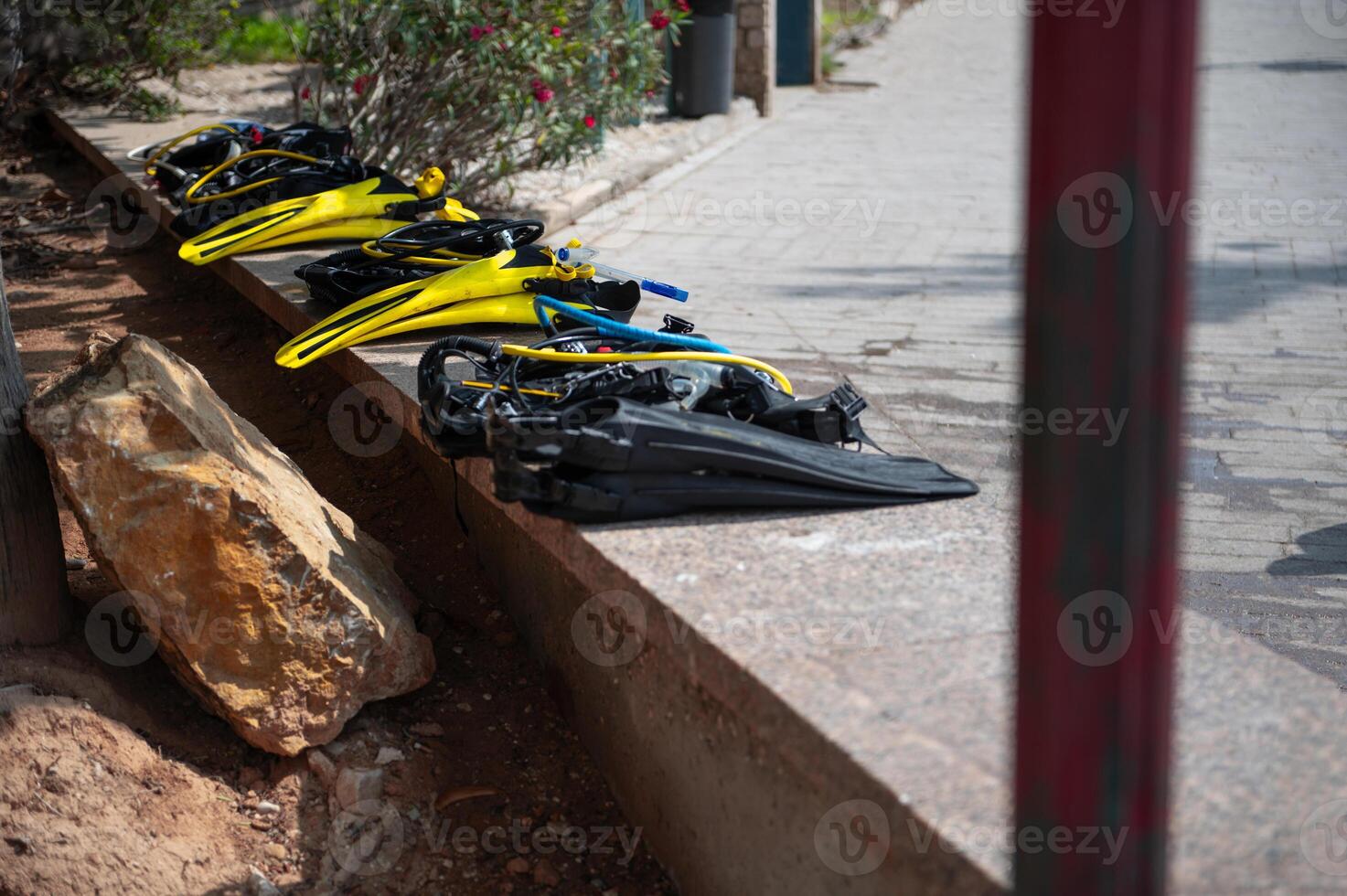 Colorful diving fins and masks arranged on a sunny pathway photo