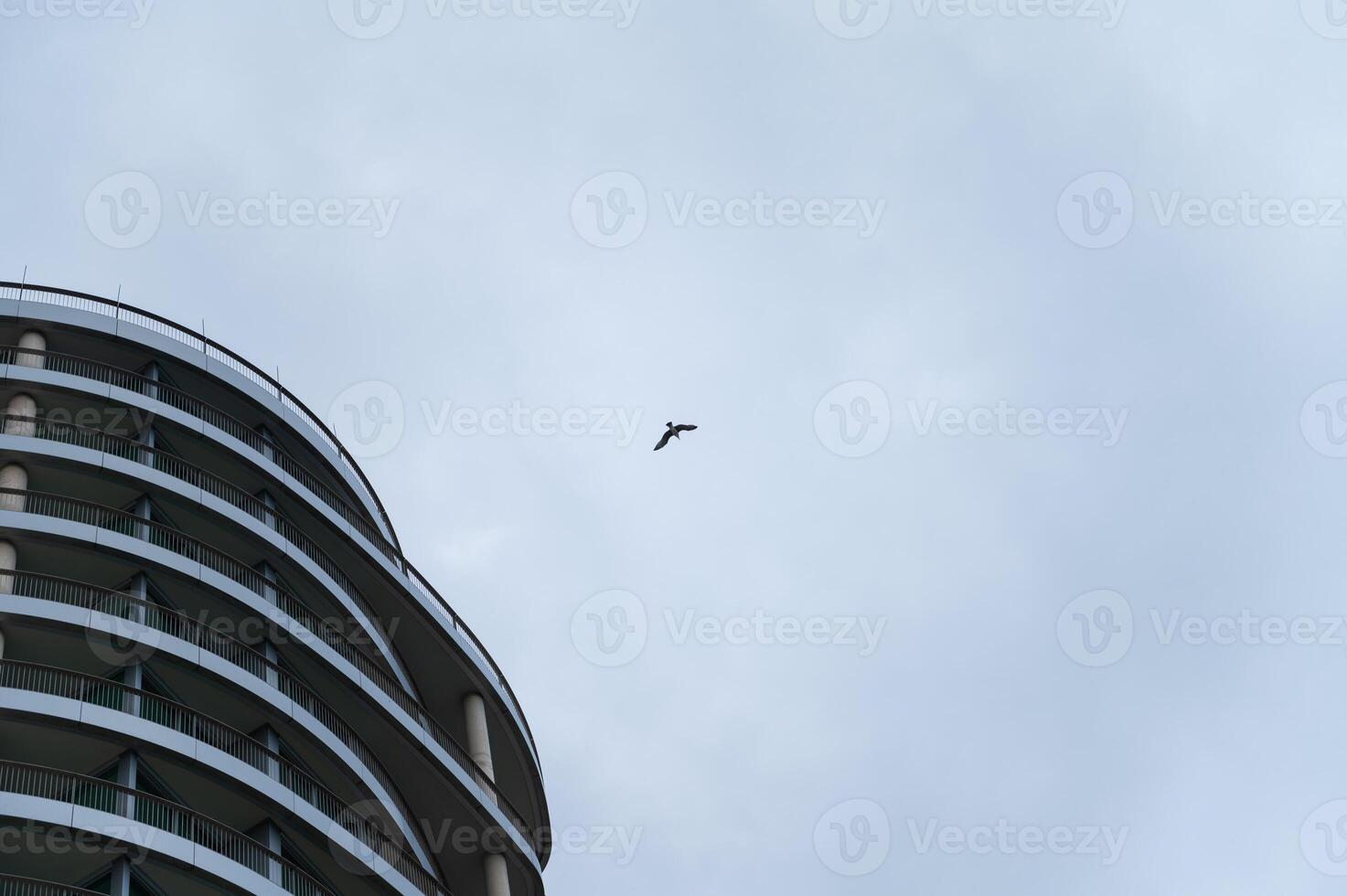 Modern building with bird soaring in cloudy sky background photo