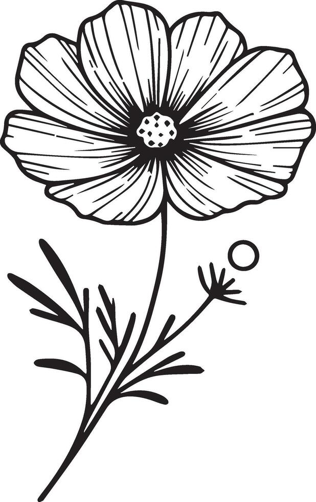 Set of outlined elements for your designs with simple hand lettered sig Illustration of a beautiful cosmos flower bouquet. sketch illustration, isolated on white. Monochrome hand-drawn floral cosmos. vector
