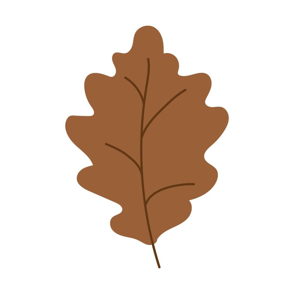Autumn Leaf isolated. Fall oak part . Decorative botanical hand drawn clipart. vector