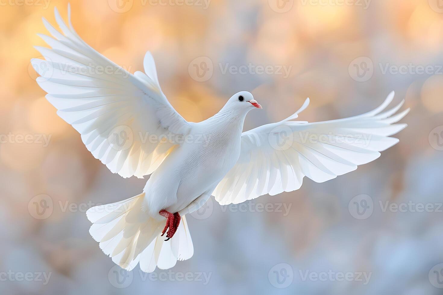 Majestic White Dove in Flight Against a Soft Blurred Background photo