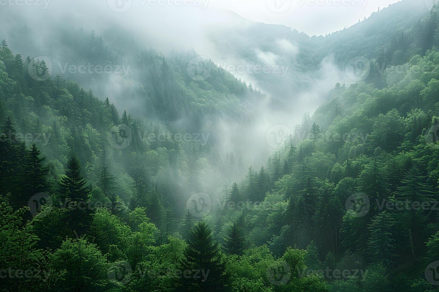 Mystical Foggy Forest in Misty Mountains - Nature Landscape for Tranquil Retreat and Meditation photo