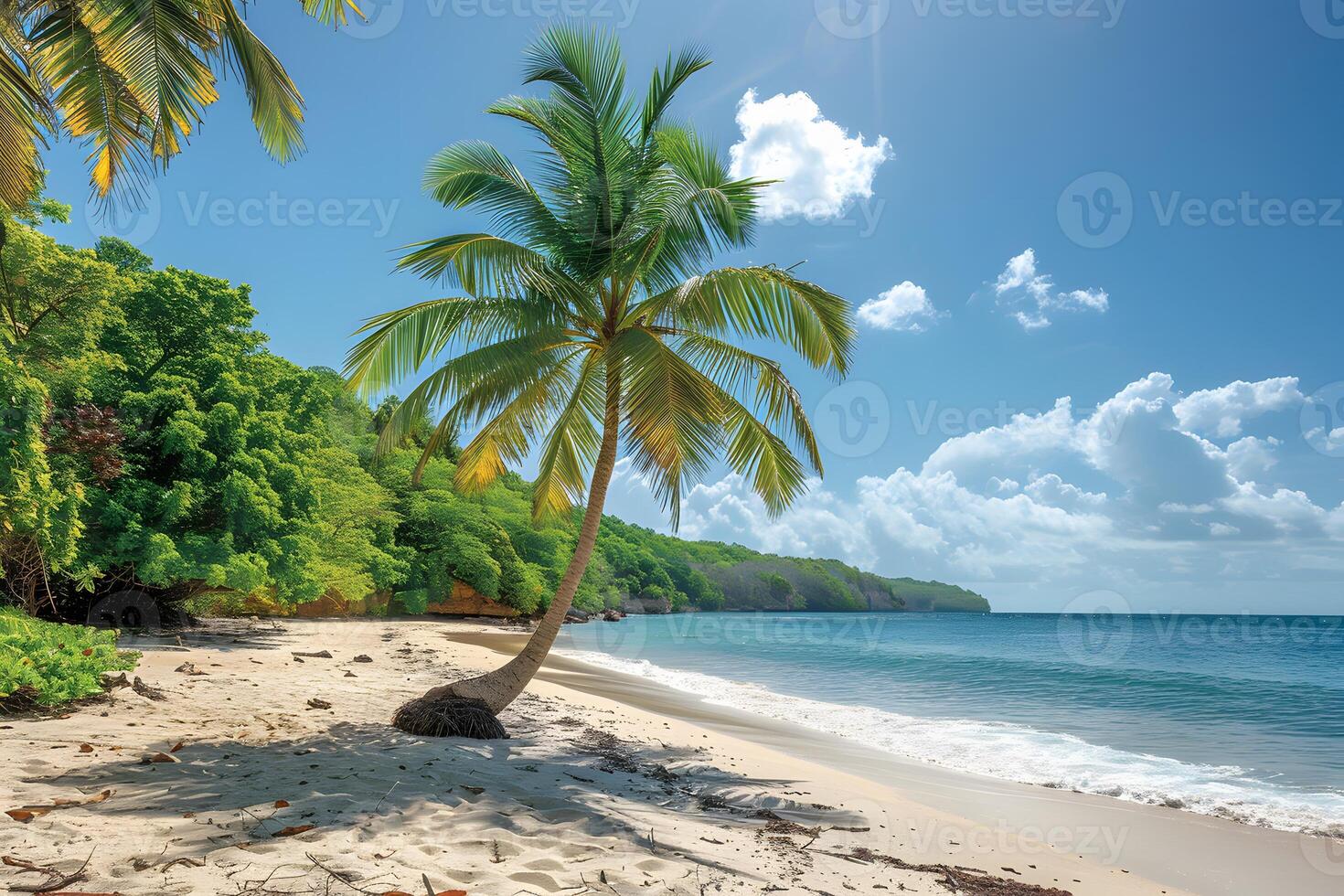 Tropical Beach with Palm Trees and Clear Blue Skies for Perfect Summer Vacation photo