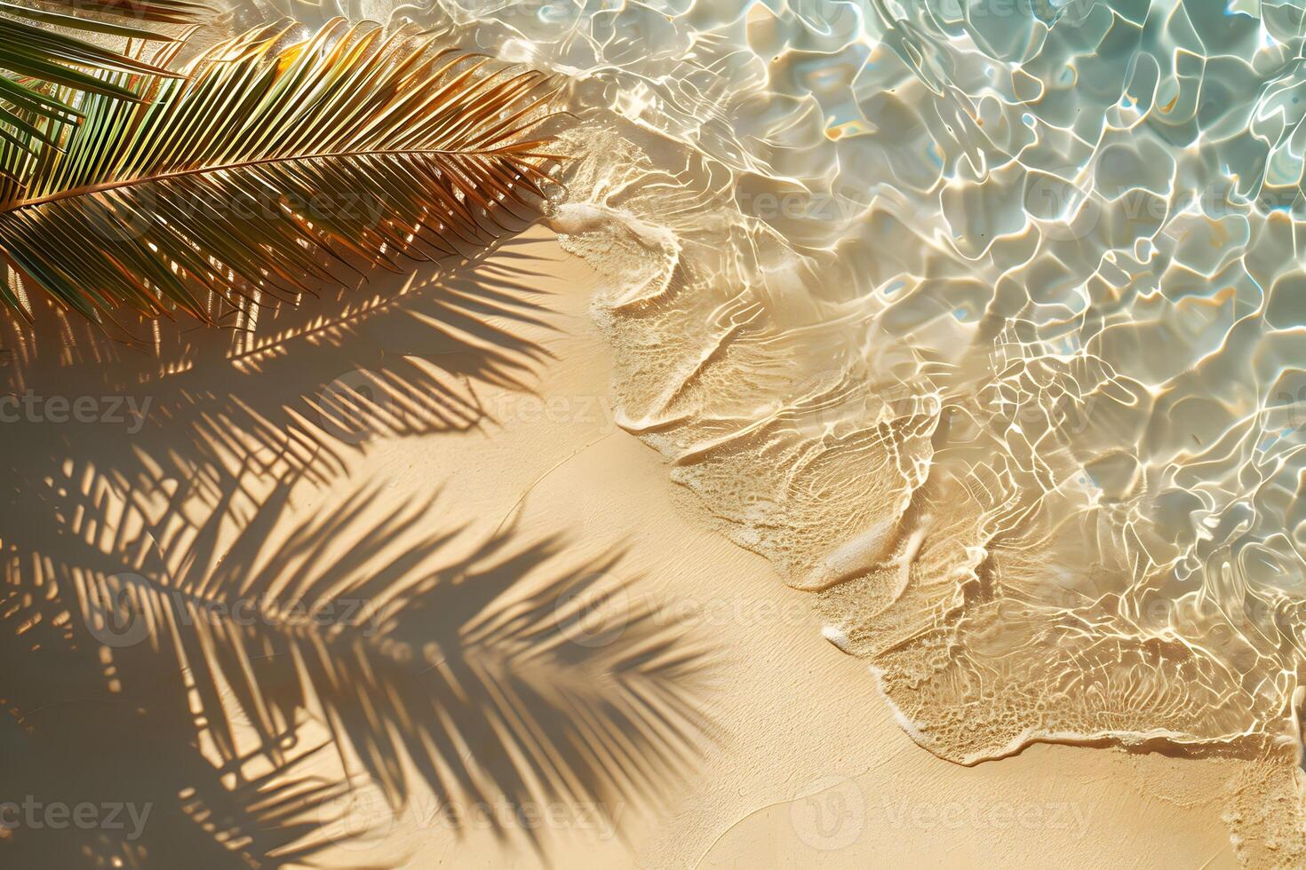 Serene Beach Scene with Crystal Clear Water and Palm Shadow for Tropical Paradise Design photo