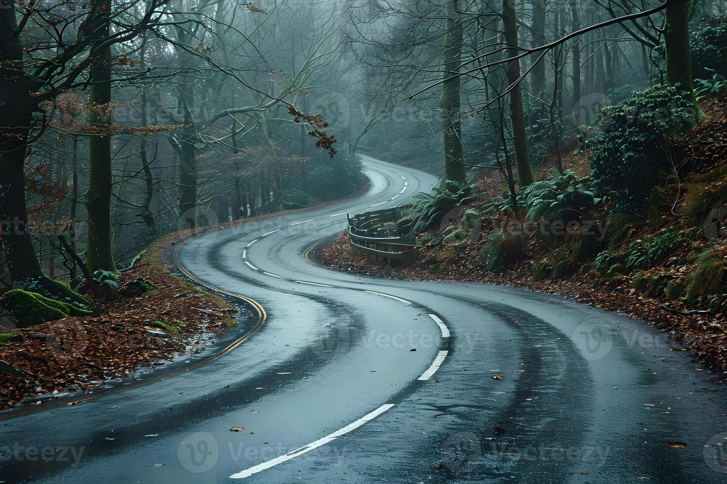 Misty Forest Road in Autumn Serene Nature and Tranquil Travel Scene photo