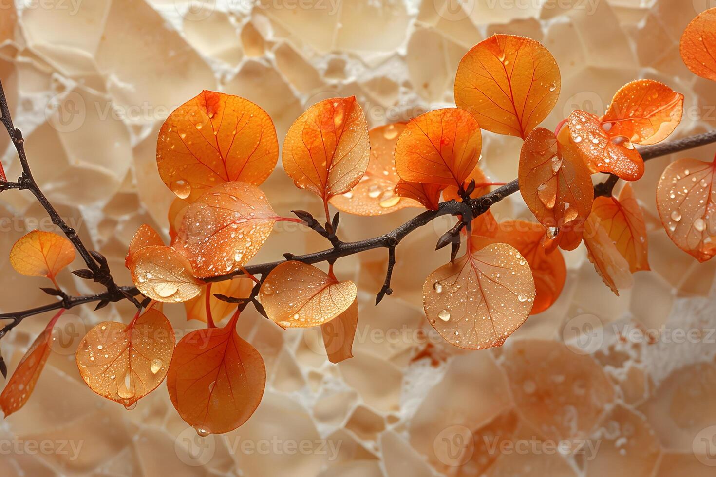 Autumn Leaves with Dew Drops on Textured Background - Nature Concept for Seasonal Decor and Design photo
