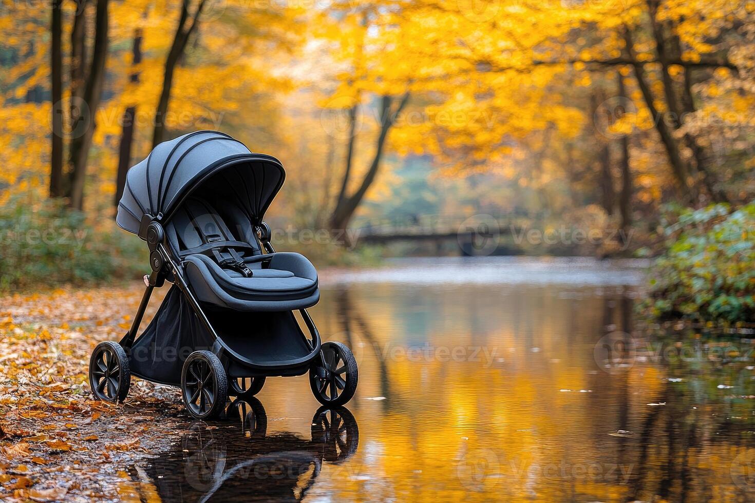 Black Stroller Parked by a Creek in Autumn photo