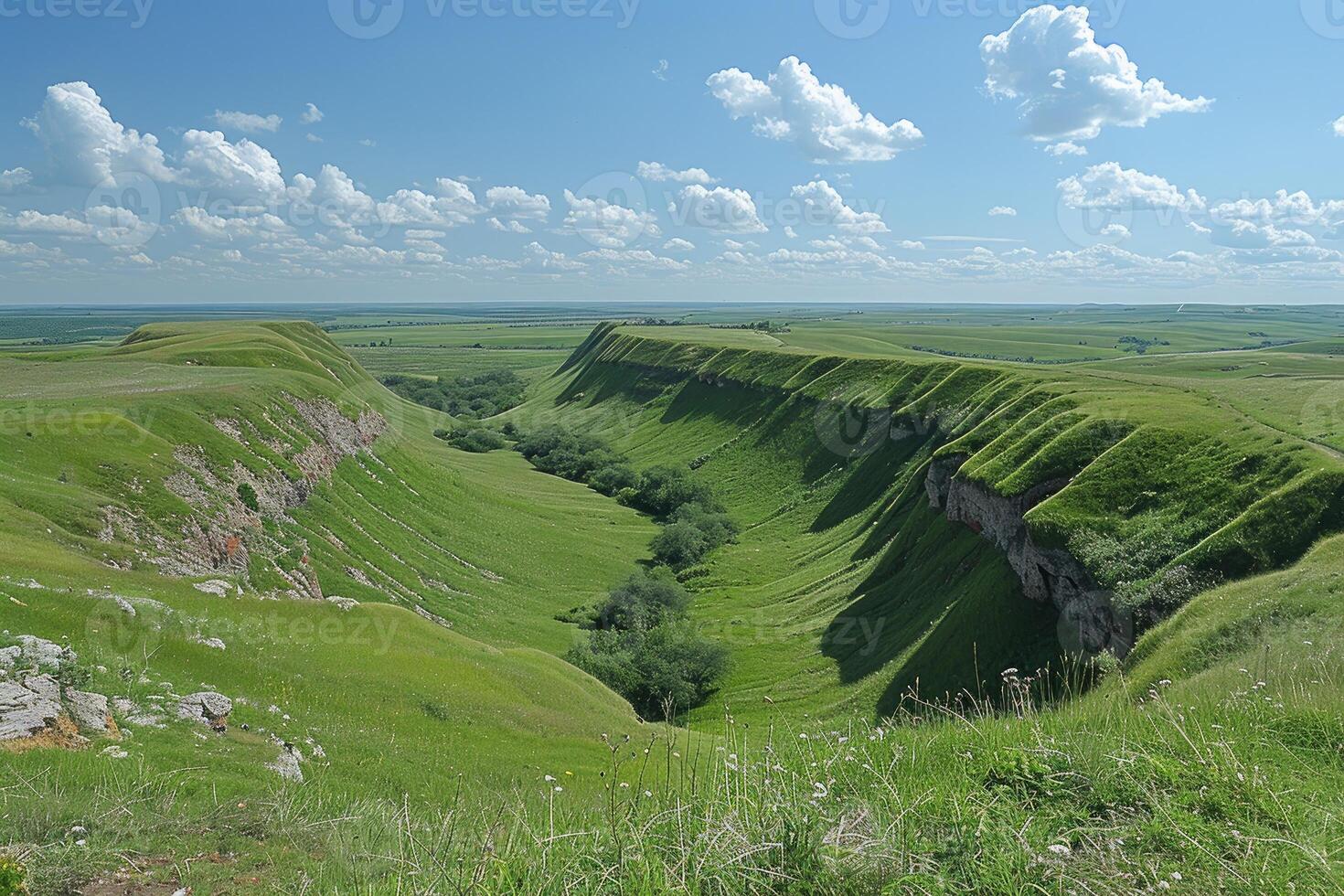 A Deep Ravine in a Lush Green Landscape photo