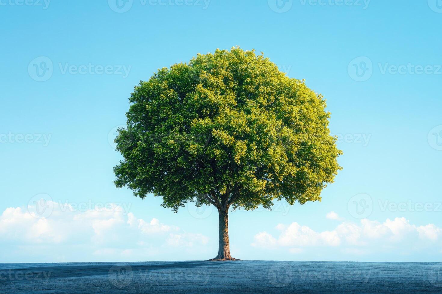A Single Green Tree Standing Alone on a Blue Field Under a Blue Sky with White Clouds photo