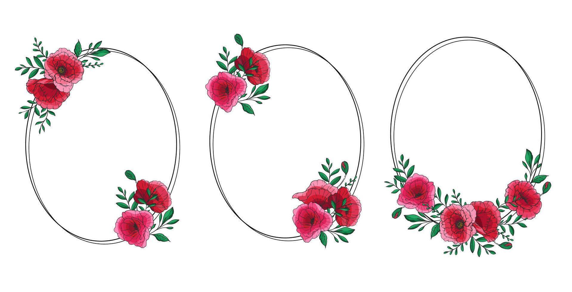 Poppy Flower Illustration. Red Poppies frames on white. Remembrance day design. Botanical Background trendy colorful wildflowers. Hand drawn floral background template. Floral Art. Poppy Bouquet. vector