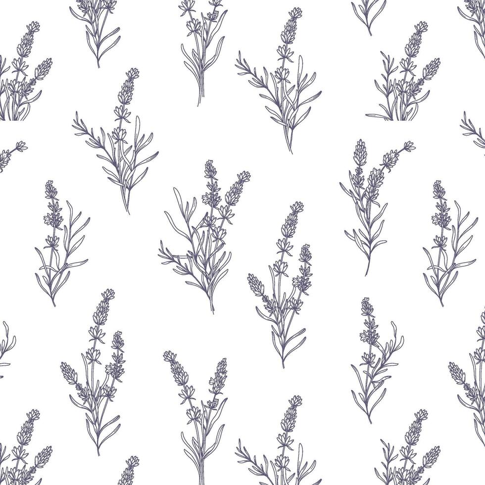 Lavender Pattern. Lavender line art wallpaper design. Botanical Line Art for fabric, prints, backgrounds. Luxury seamless floral background with Lavender. Hand drawn Lavenders outline vector