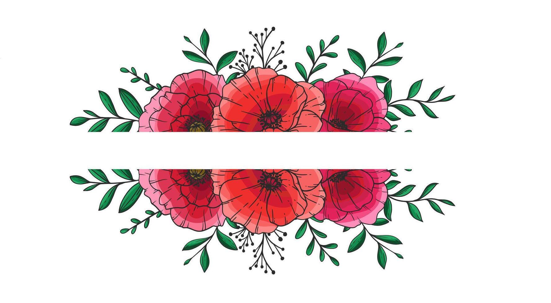 Poppy Flower Illustration. Red Poppies on white background. Remembrance day design. Botanical Background trendy colorful wildflowers. Hand drawn floral background template. Poppy Split Border. vector