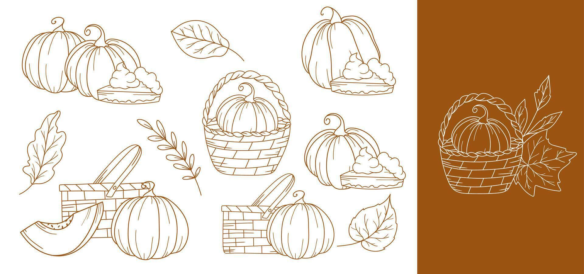 Fall Pumpkins outline isolated on white. Pumpkins line art ilustration. Fall Pumpkins Hand Drawn. Fall Coloring Page. Thanksgiving graphics vector