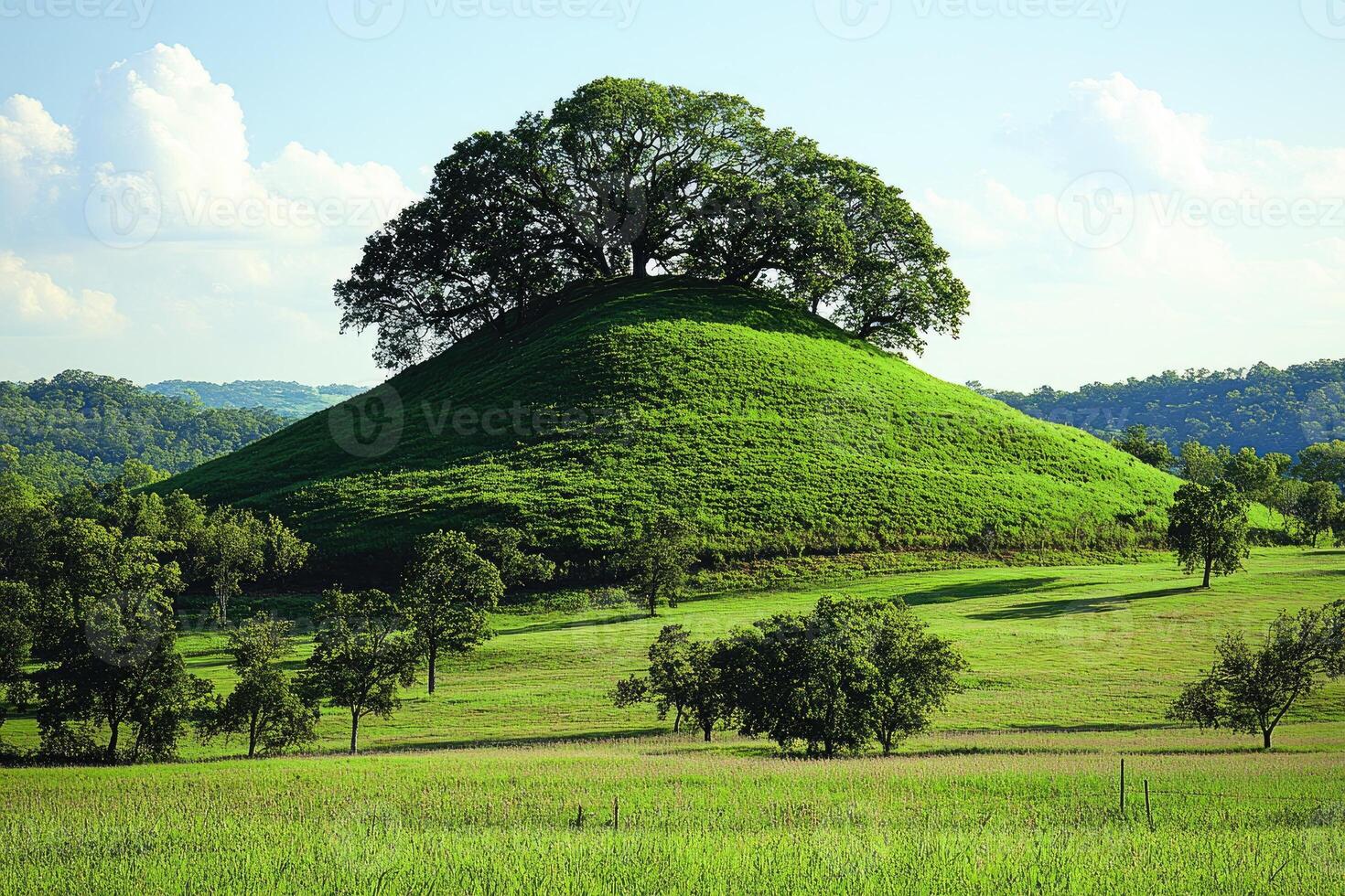 A lone tree stands atop a green grassy hill. photo
