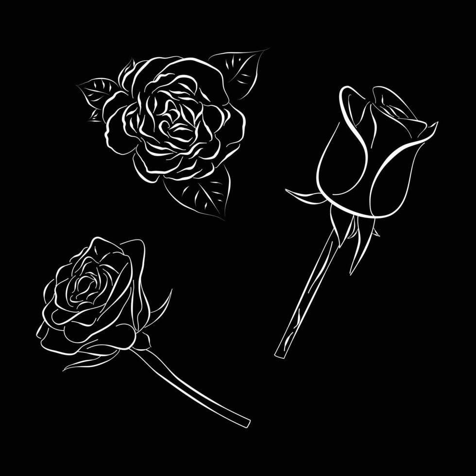 set of hand drawn roses outline vector