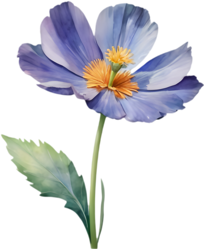 Nature-inspired Geraea flower watercolor design for art lovers. . png