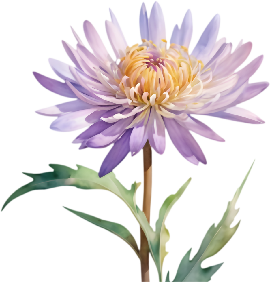 Refreshing Watercolor Clipart of Mojave Aster Flower Vibes. . png