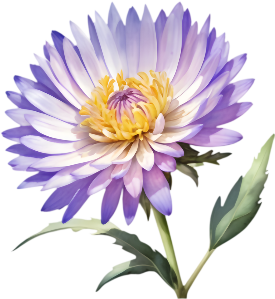 Simple Yet Beautiful Mojave Aster Flower Watercolor Clipart. . png
