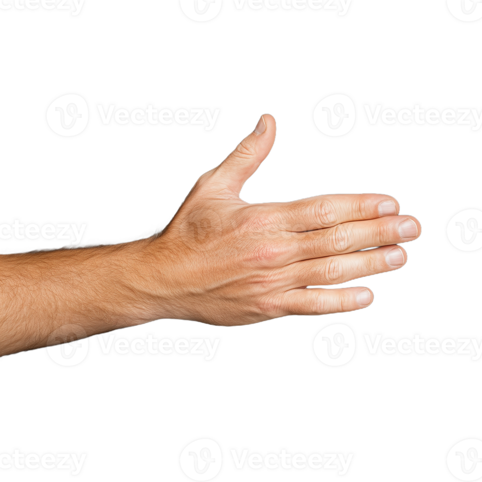Close-up of a hand reaching out for a possible handshake gesture on a transparent background, suggesting greetings, agreement, cooperation, or introduction in a business or personal setting. png