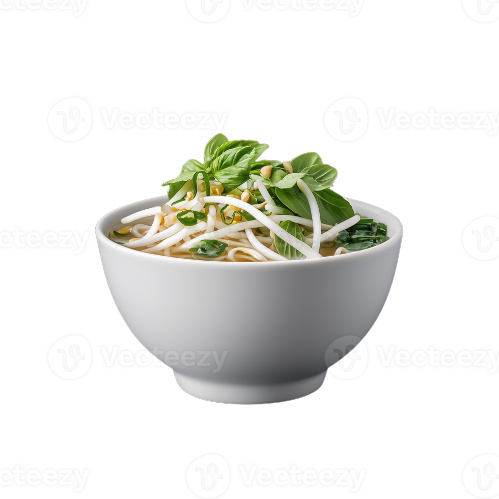 Fresh noodle salad with herbs in a white bowl png