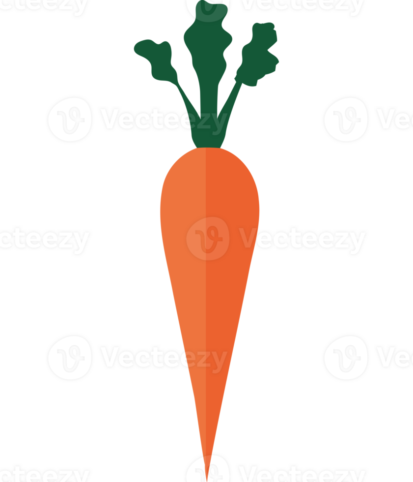 orange Carrot icon png