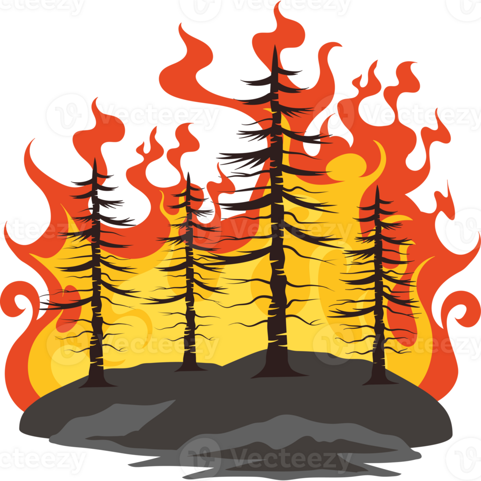 forest fires deforestation png