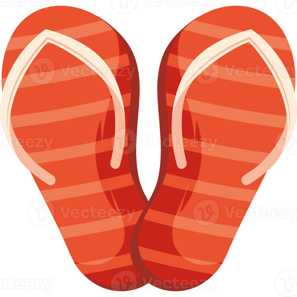 flip flops footwear png