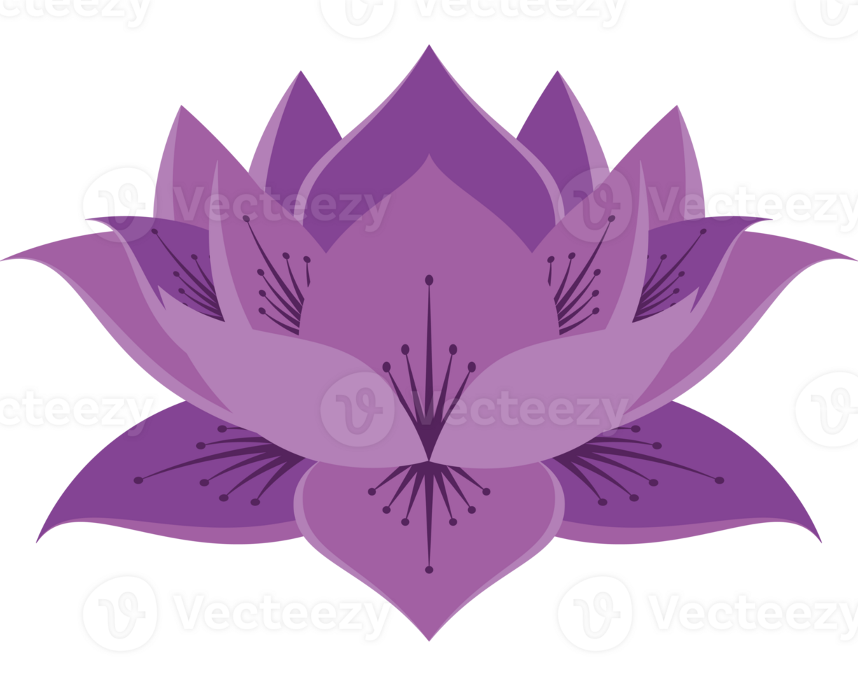 lotus flower design png
