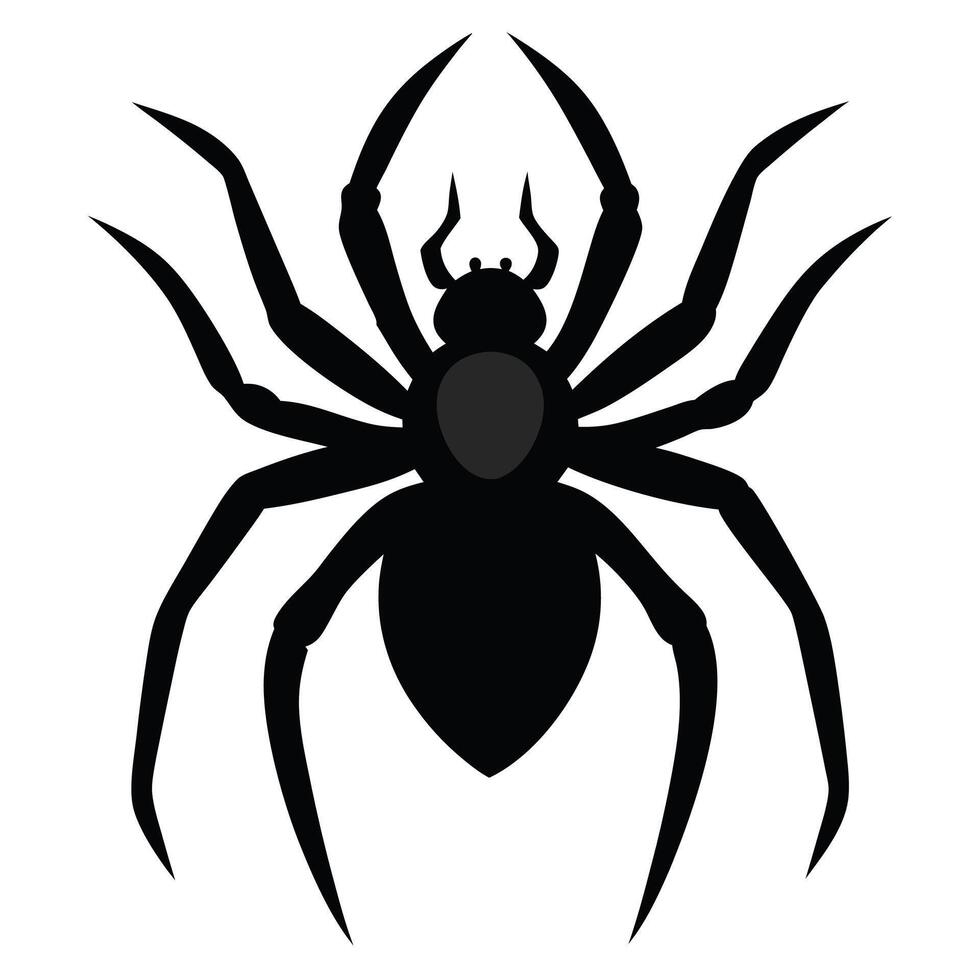 A black spider on a white background vector
