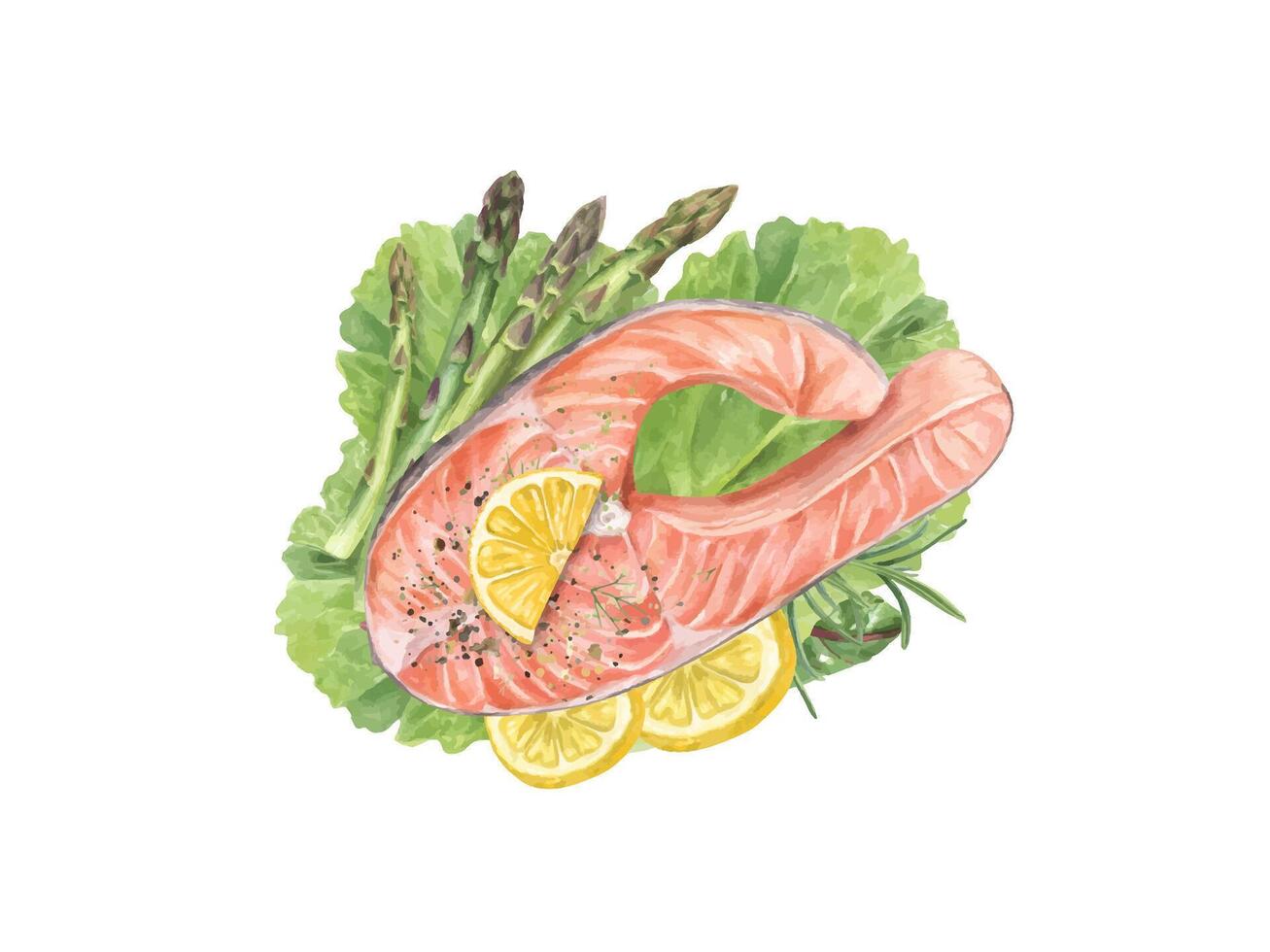 Steamed salmon steak with lemon slices, asparagus and greenery watercolor food illustration. Healthy meal with trout fish and rosemary, citrus slices, salad leaves for recipes, menu. Top view vector