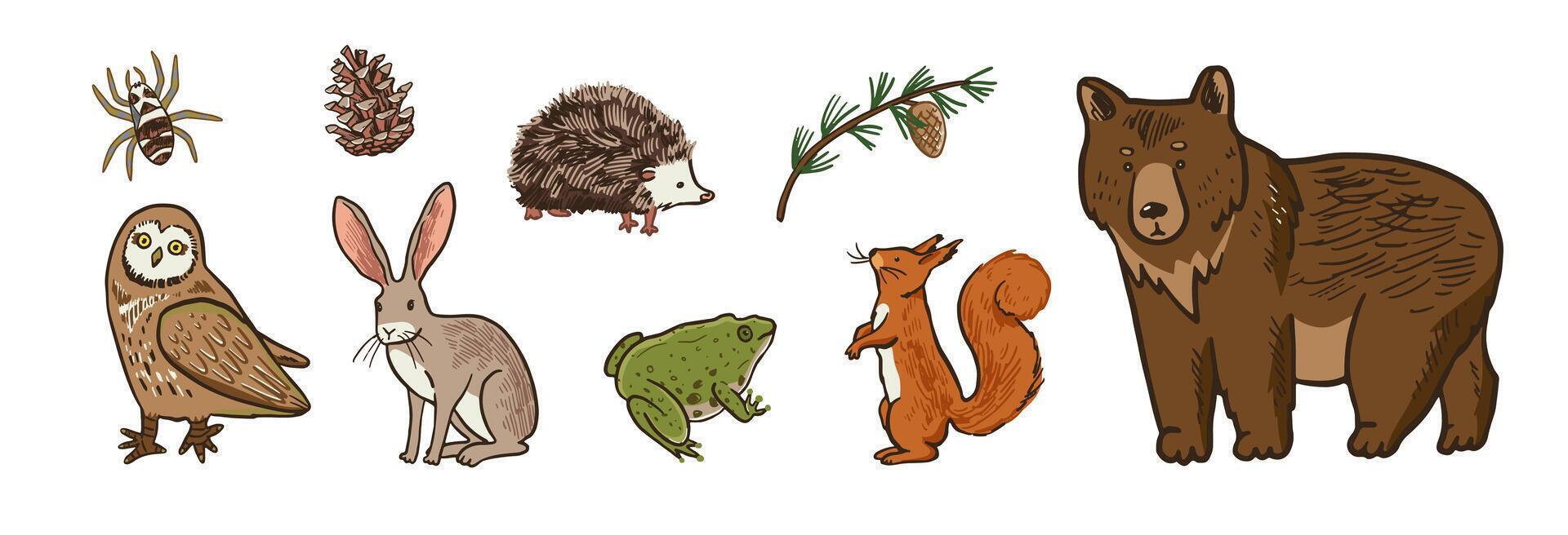 Cute hand drawn forest animals set. Illustration in cartoon style. vector