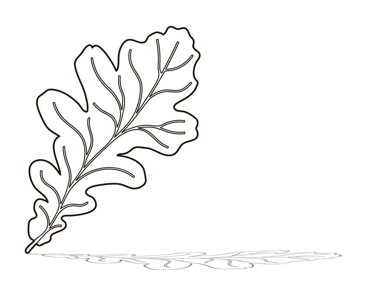 Oak leaf silhouette, shape outline vector